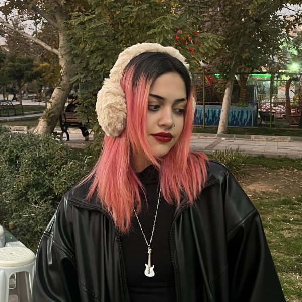 گوشگیر تدی - Image 3