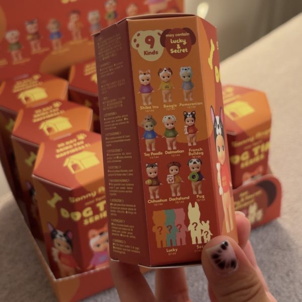 شانسی سانی آنجل - Image 2